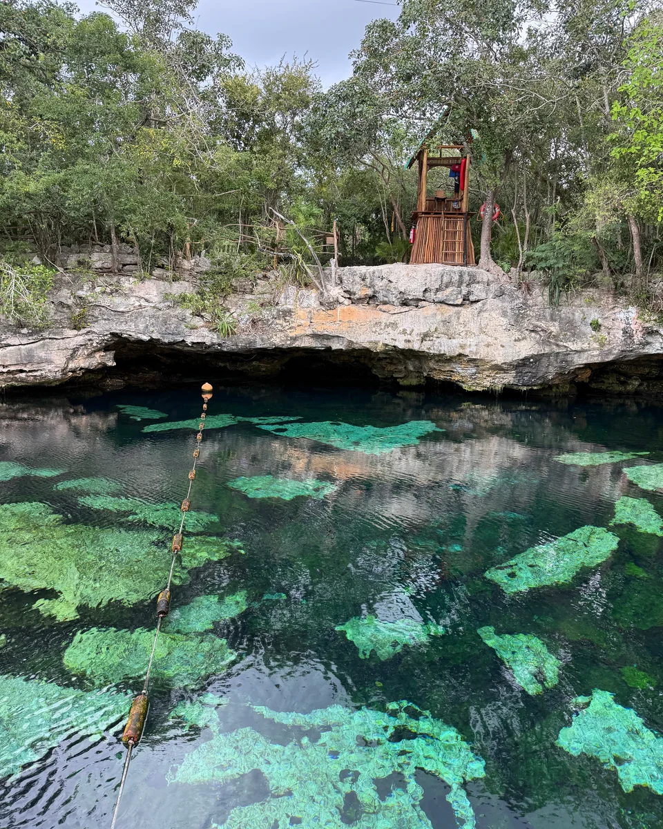 Un cenote de agua cristalina bajo un borde de roca cubierto de árboles, con una pequeña torre de madera sobre la roca y una cuerda con boyas que cruza el agua.